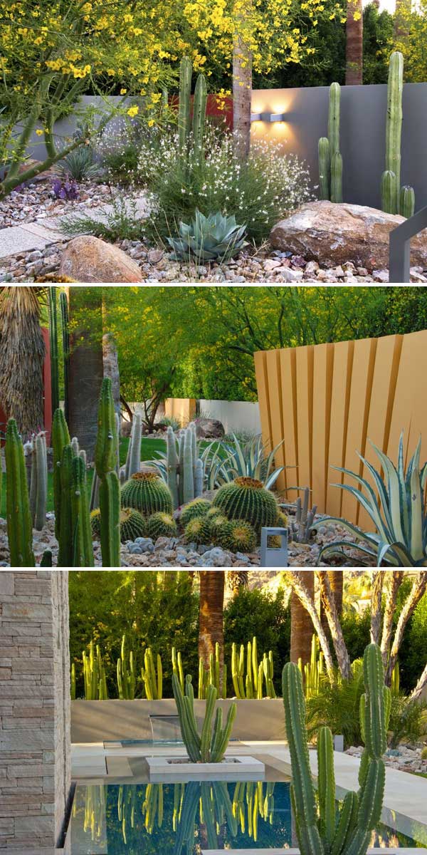 32 Stunning Low-Water Landscaping Ideas for Your Garden ...