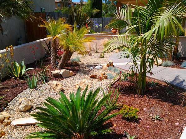 32 Stunning Low-Water Landscaping Ideas for Your Garden ...