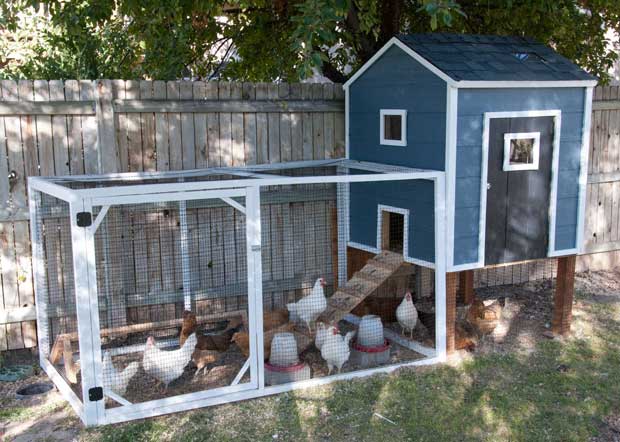 22 Low-Budget DIY Backyard Chicken Coop Plans ...