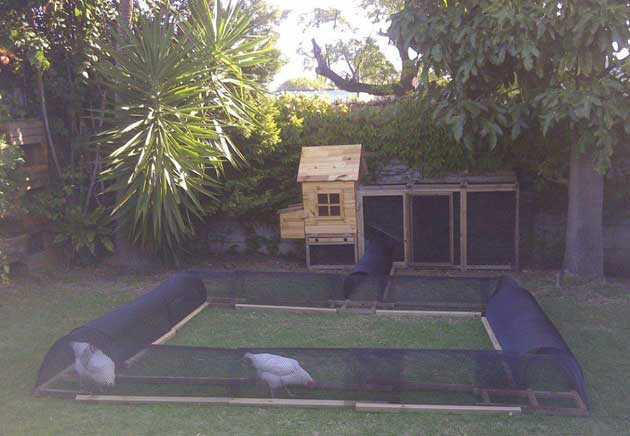 Build A DIY Chicken Tunnel In Your Backyard 