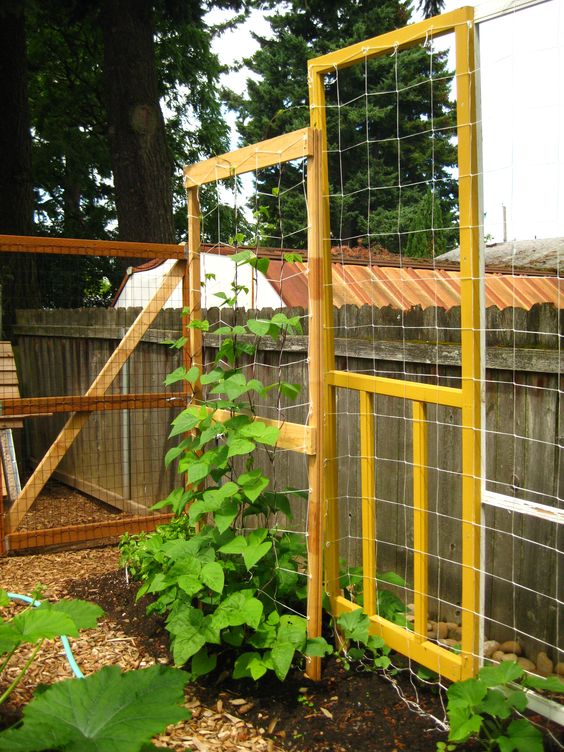 19 Successful Ways to Building DIY Trellis for Veggies and Fruits