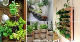 Low-budget and Easy Container Ideas For Herb Garden