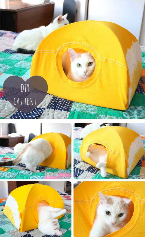 HDI-DIY-Pet-Projects-001