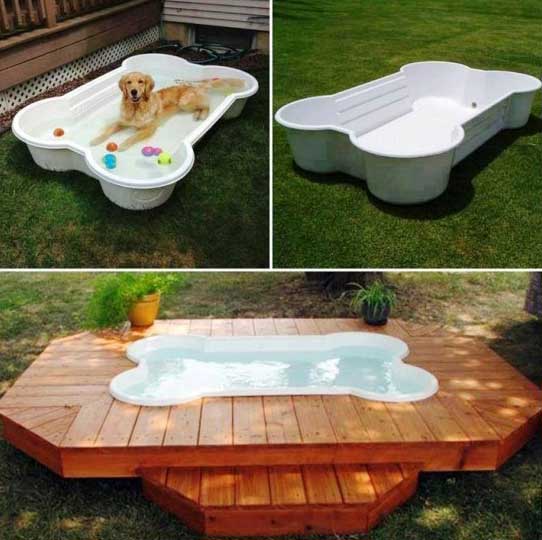 HDI-DIY-Pet-Projects-010