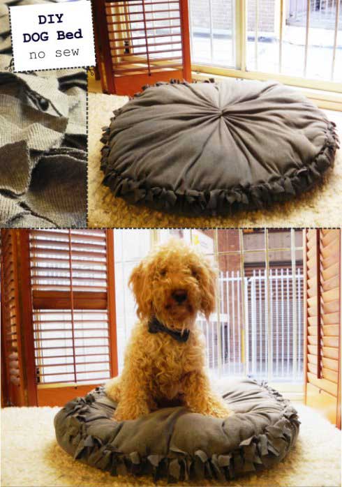 HDI-DIY-Pet-Projects-021