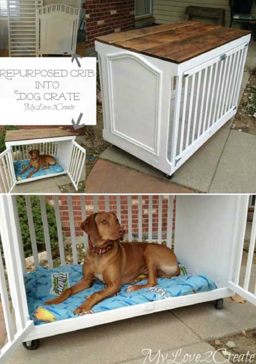 HDI-DIY-Pet-Projects-027