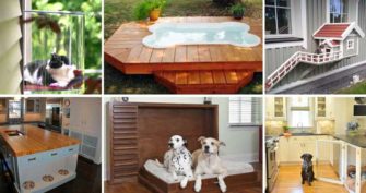 Top 27 DIY Ideas How to Make a Perfect Living Space for Pets