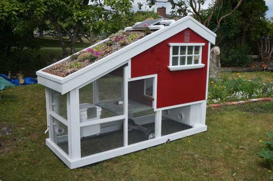 diy-chicken-coop-projects-HDI-1