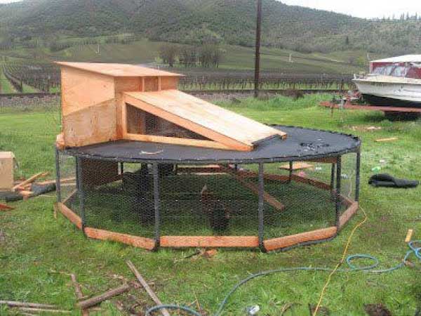 diy-chicken-coop-projects-HDI-11