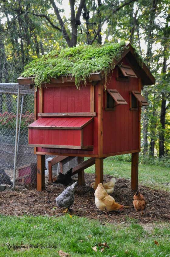 diy-chicken-coop-projects-HDI-12