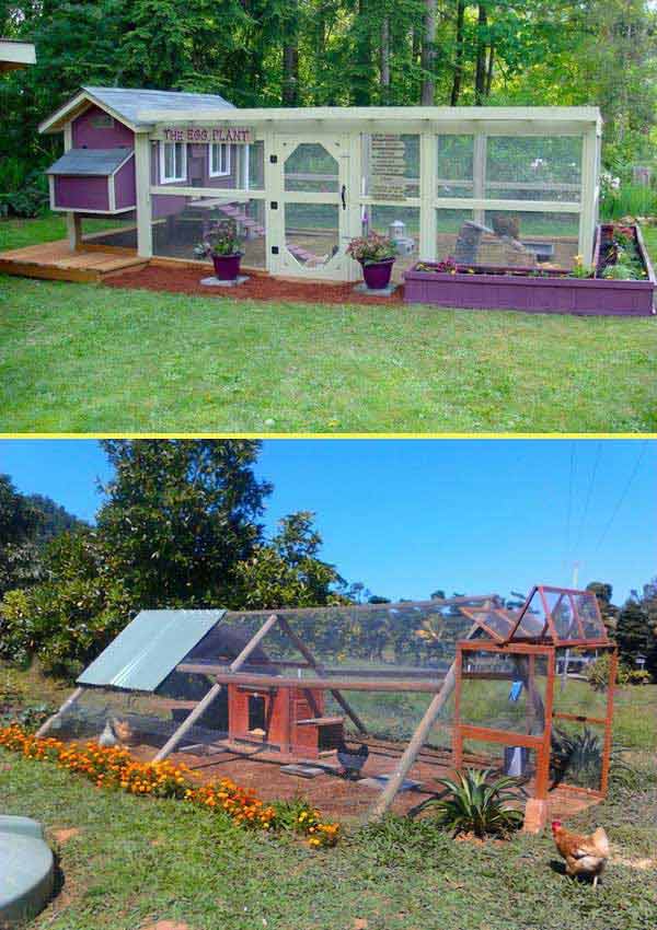 diy-chicken-coop-projects-HDI-16