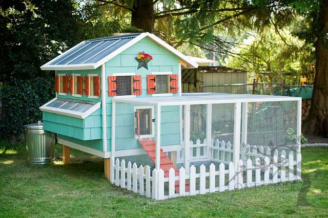 diy-chicken-coop-projects-HDI-8