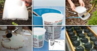 Top 22 Craziest Ways to Reuse Empty Food or Drink Containers