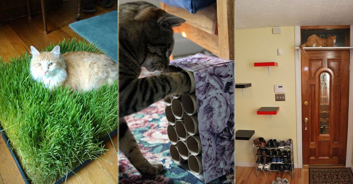 21 Genius Hacks Cat Owners Will Love Instantly
