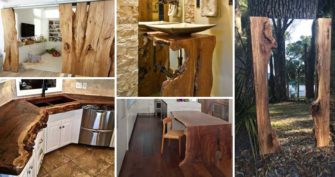 Top 20 Cool Decorating Ideas with Live Edge Wood