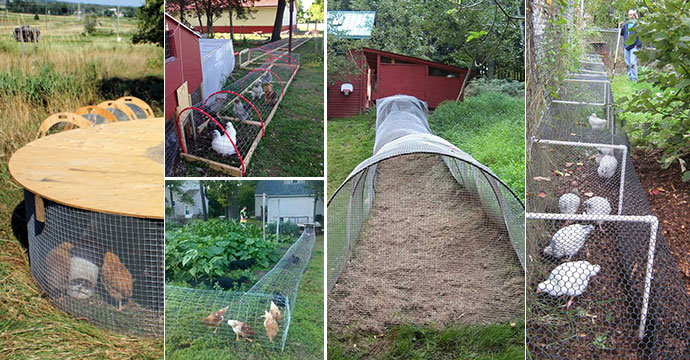 Build A DIY Chicken Tunnel In Your Backyard