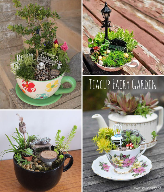 convert tea cups into crazy mini fairy garden