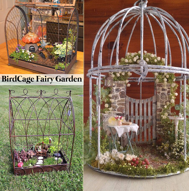 Design a Fairy Garden in Terrarium Style Inside a Birdcage