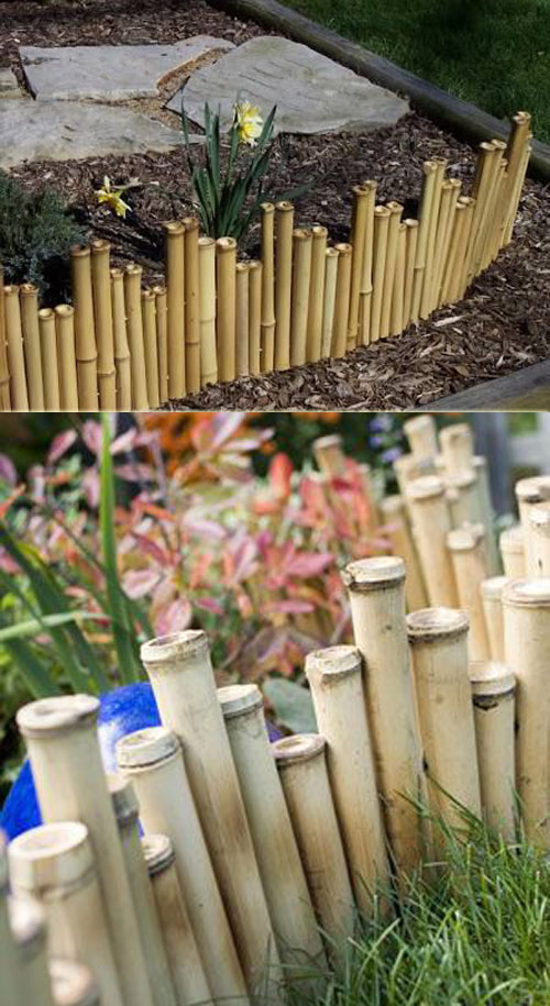 Bamboo Garden Border