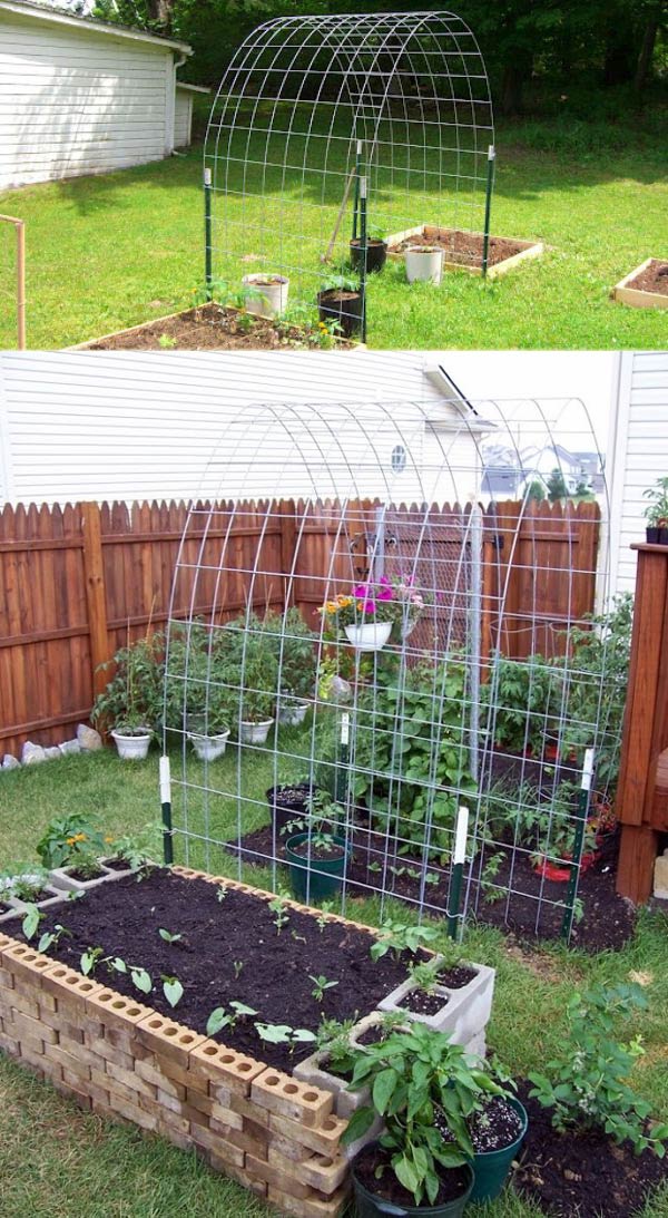 Trellis & Raised Garden Box Combo