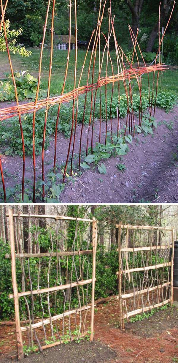 A Row of Vertical Wicker Garden Trellis