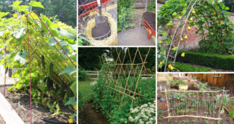 19 Successful Ways to Building DIY Trellis for Veggies and Fruits