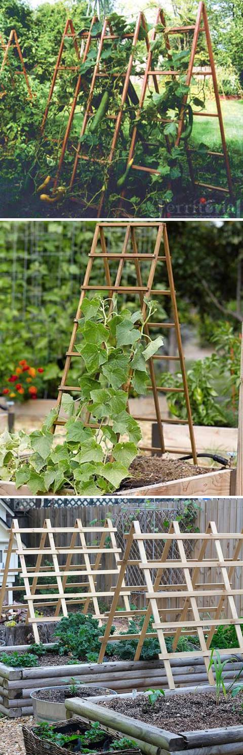 Sturdy A-frame Trellis Panels