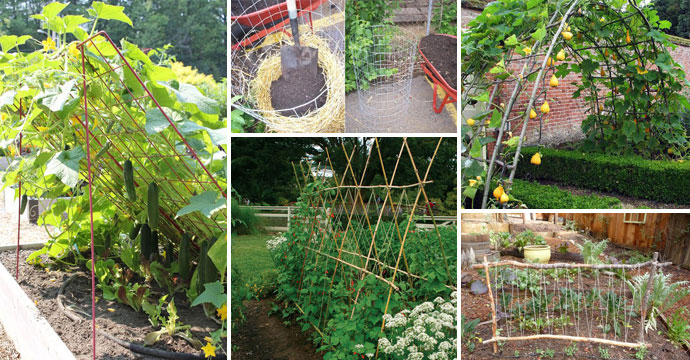 19 Successful Ways to Build DIY Trellises for Vegetables and Fruits