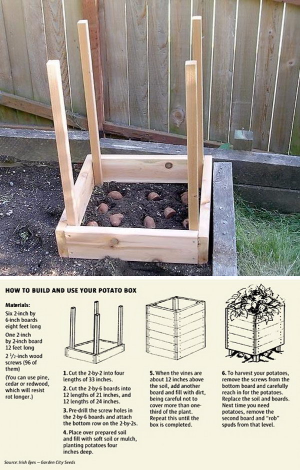 Grow 100 lbs. Of Potatoes In 4 Square Feet