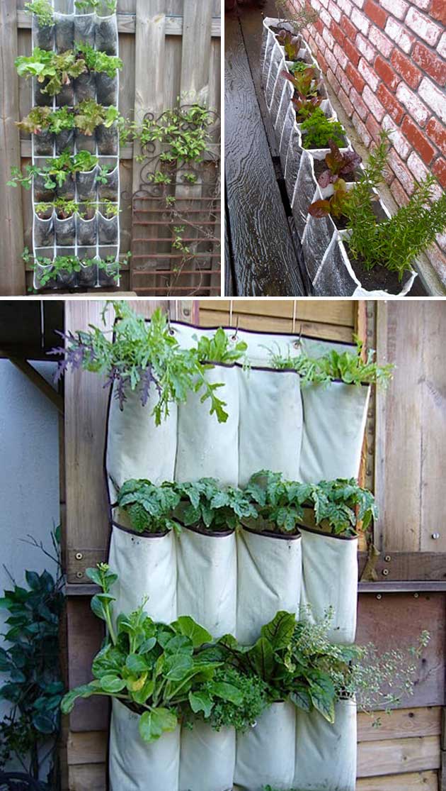 Repurpose a shoe organiser as a planter