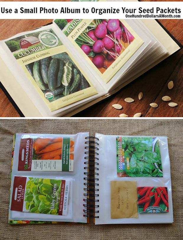 Use an old photo album as seed packet organizer