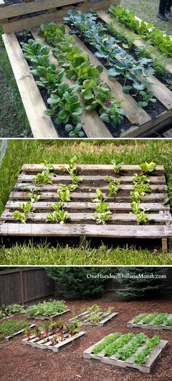 pallet garden bed