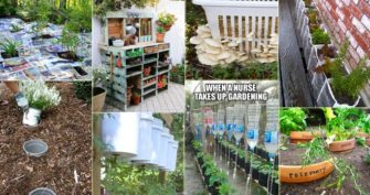23 Insanely Clever Gardening Ideas on Low Budget