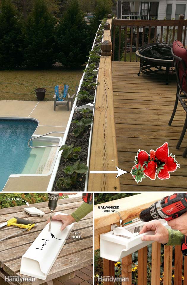 deck railing-mounted strawberry garden