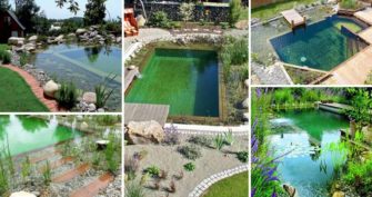 Natural Swimming Pool Ideas [How to, Tips and Pictures]