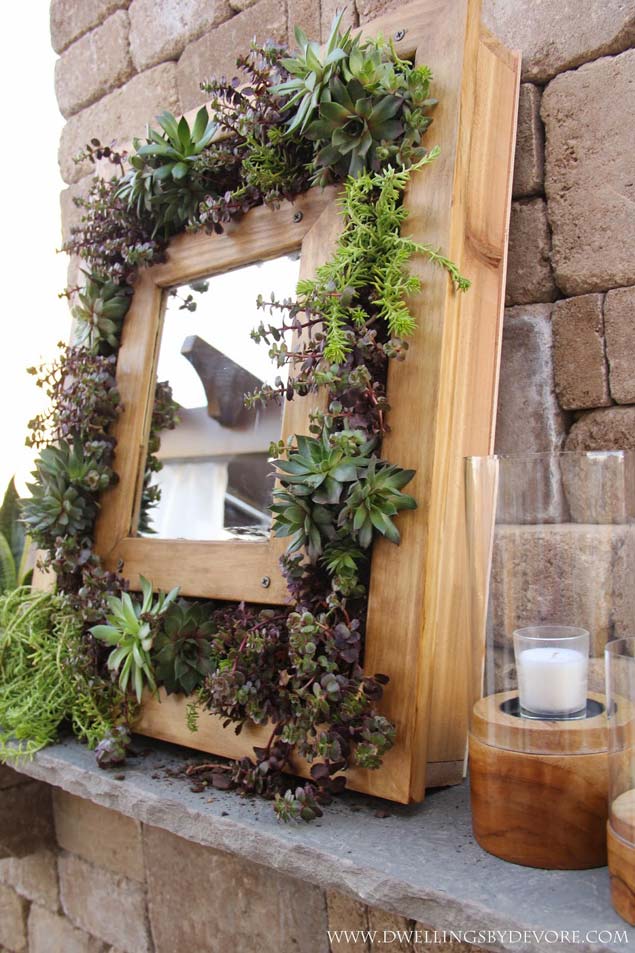 Stunning Succulent Mirror Frame