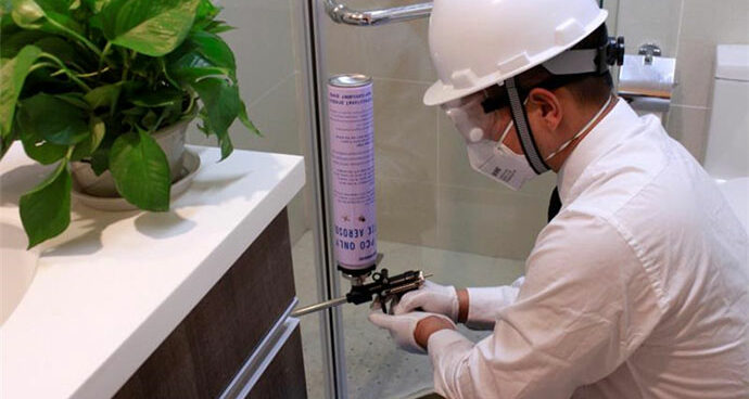 How to Properly Deal With Pest Infestations