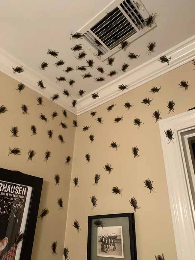Oh, this is so creepy! Putting all those fake bugs on the ceiling and walls like they are coming out of the vent is a Halloween idea that would really scare people.