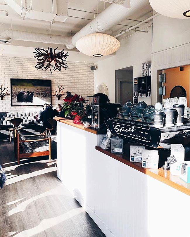 The counter is a crisp white against the painted brick wall. The focus is on the sculptural chandelier, made from dark, organic branches. This design uses natural elements to create a bright atmosphere.